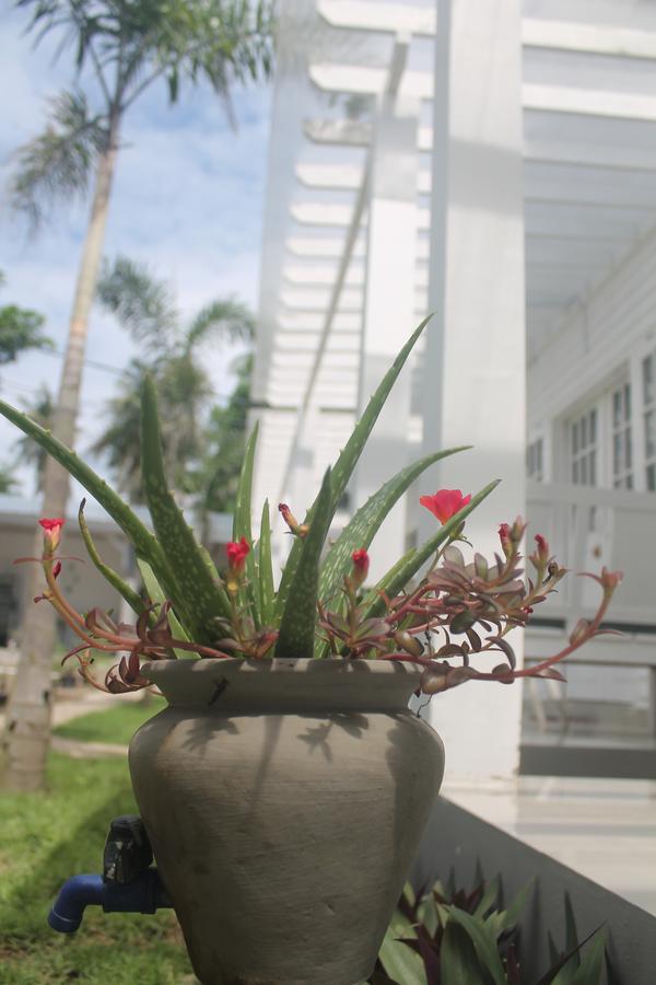 Casa Blanca Gili Air Hotel Luaran gambar